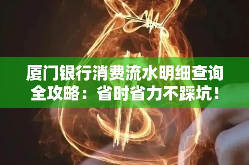厦门银行消费流水明细查询全攻略：省时省力不踩坑！