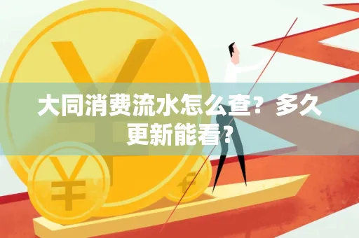 大同消费流水怎么查？多久更新能看？