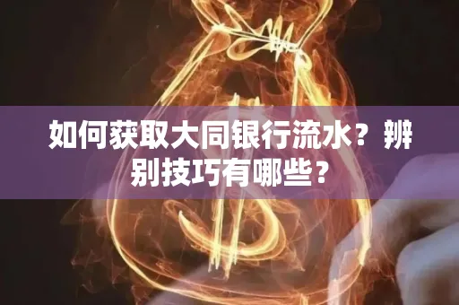 如何获取大同银行流水？辨别技巧有哪些？